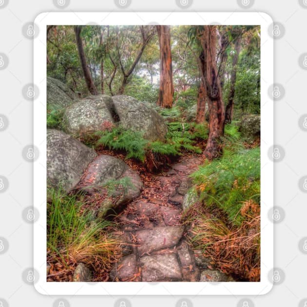 Split Rock at Oatley Park Sticker by Michaelm43